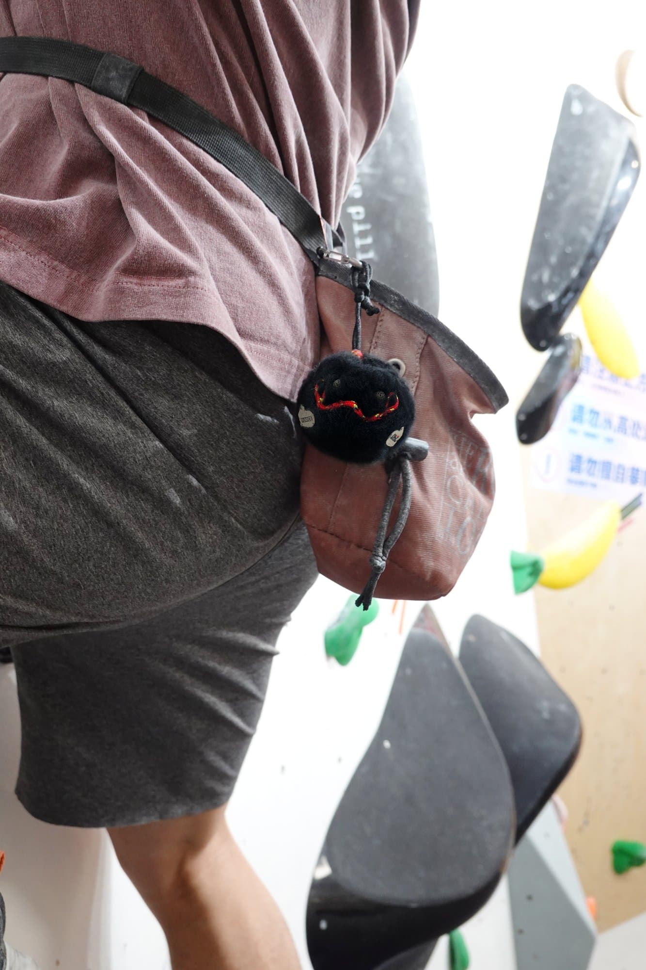 Chalkemon in use